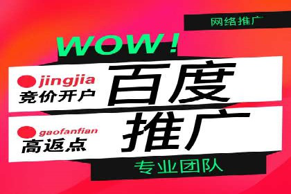 竞价广告案例分析：行业领军企业经验分享